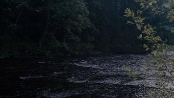 Dřevěné, ohýbané židle Sádlík tým, na restauračních židlích Arol  AL, Šumava, camp Anín II. na Otavě, 2017