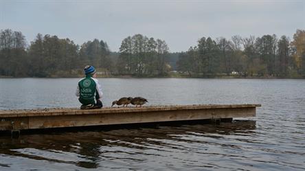 Sádlík tým - na cestě za zákazníkem - Třeboňsko, na břehu rybníka Hejman, kemp Veronika
