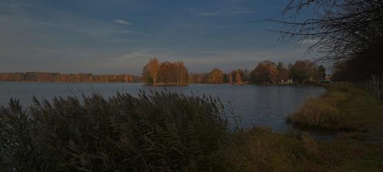 Sádlík tým - na cestě za zákazníkem - Třeboňsko, rybník Hejman v podzimní kráse